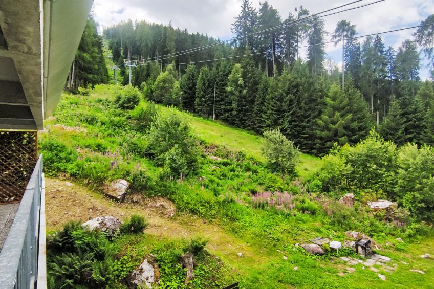 Tra le Piste - foto 14