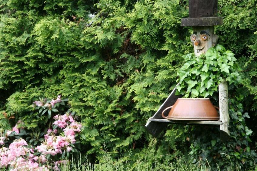 in Maxen mit Privatem Pool - foto 19