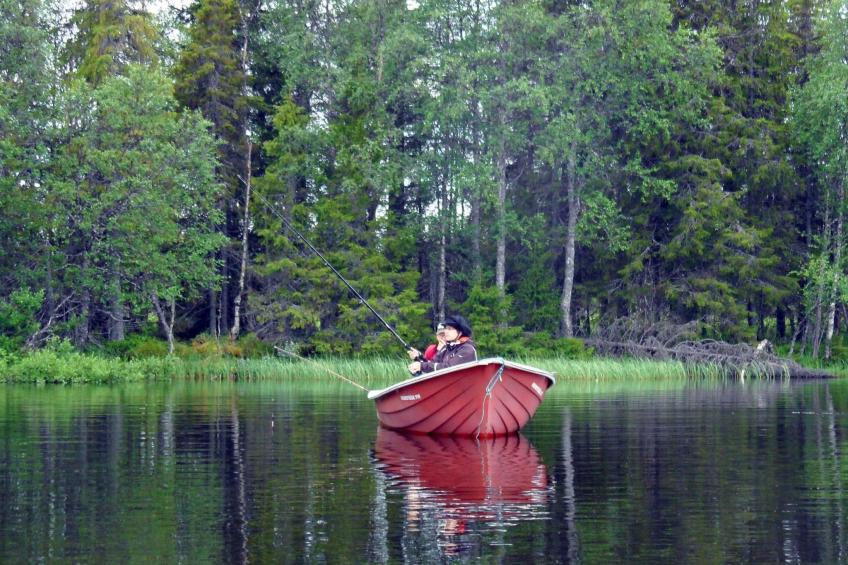 Haus-Lappland - foto 38
