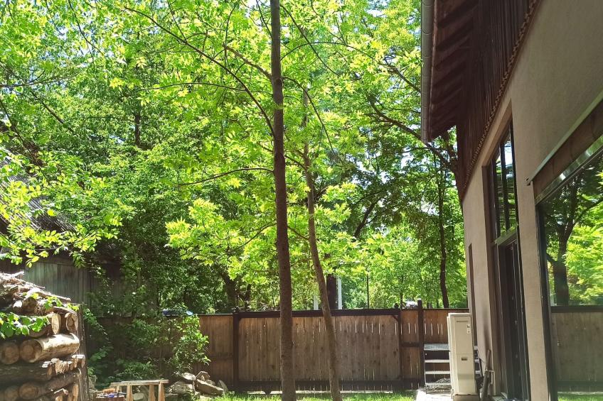 FeWo Stodlwerk - foto 22