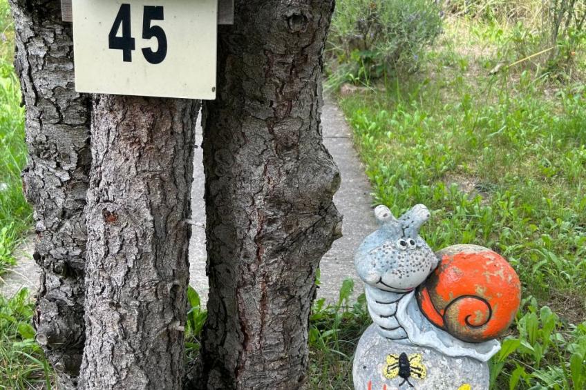 Datscha im Grünen - foto 3