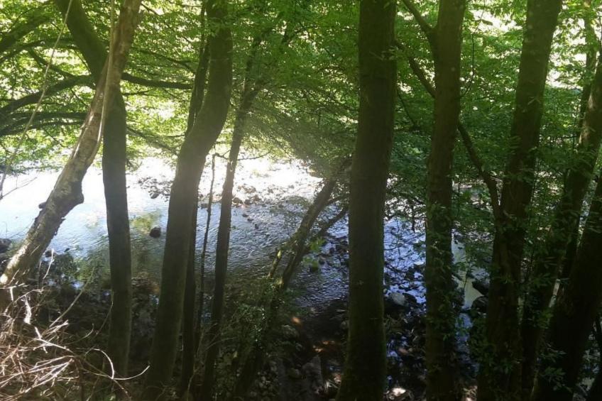 in Zendscheid mit Offenem Kamin - foto 35