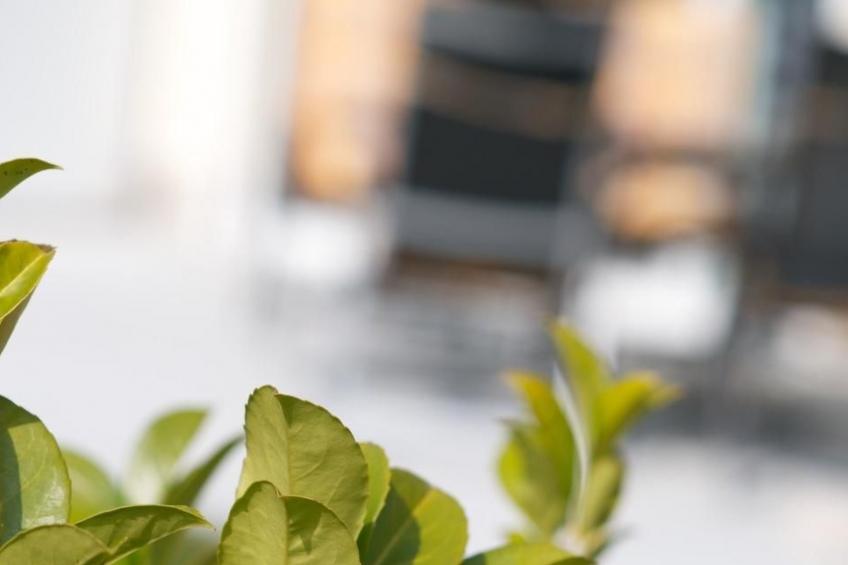 mit Blick auf das Wasser - foto 12