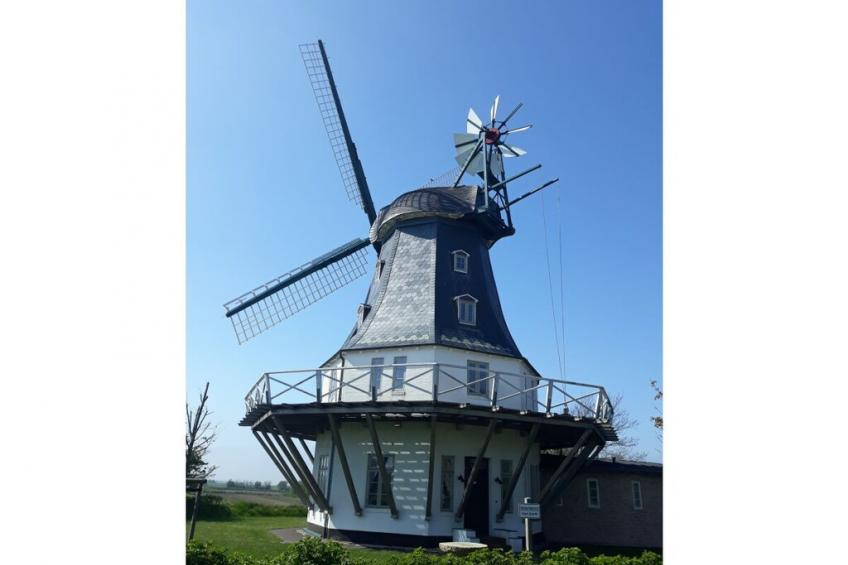 274605 - foto 31
