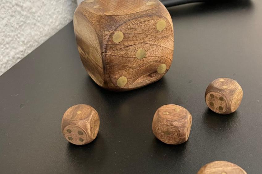 Max Mountain View - foto 38