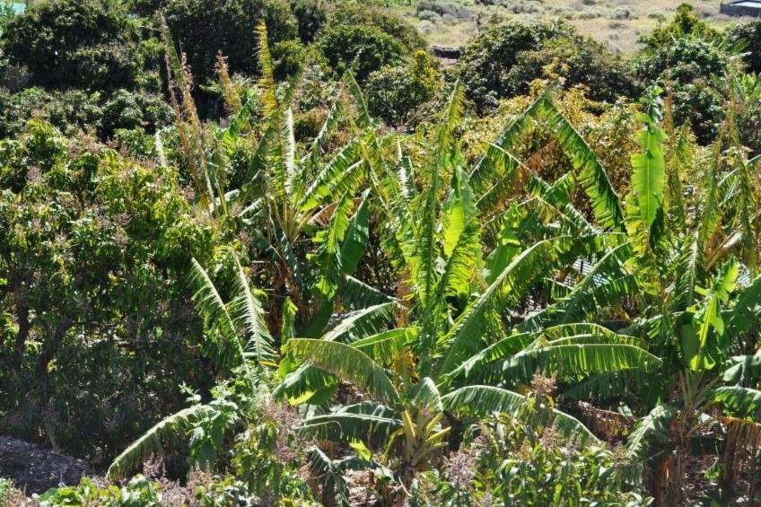 Zweitstöckiges Ferienvilla mit Terrassen, Pool, Sauna sowie herrlichem Berg- un - foto 38