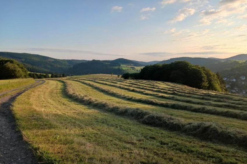 Mühlenberg - foto 29