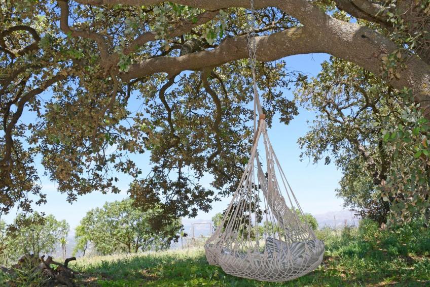 Ein Traumurlaub im Herzen von Andalusien. - foto 9