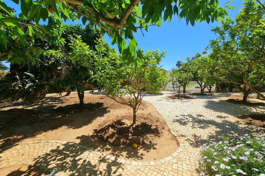 Villa Mar á Vista - foto 22