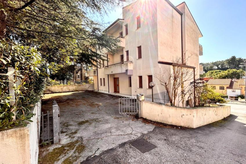 TRILO MARCO - foto 6