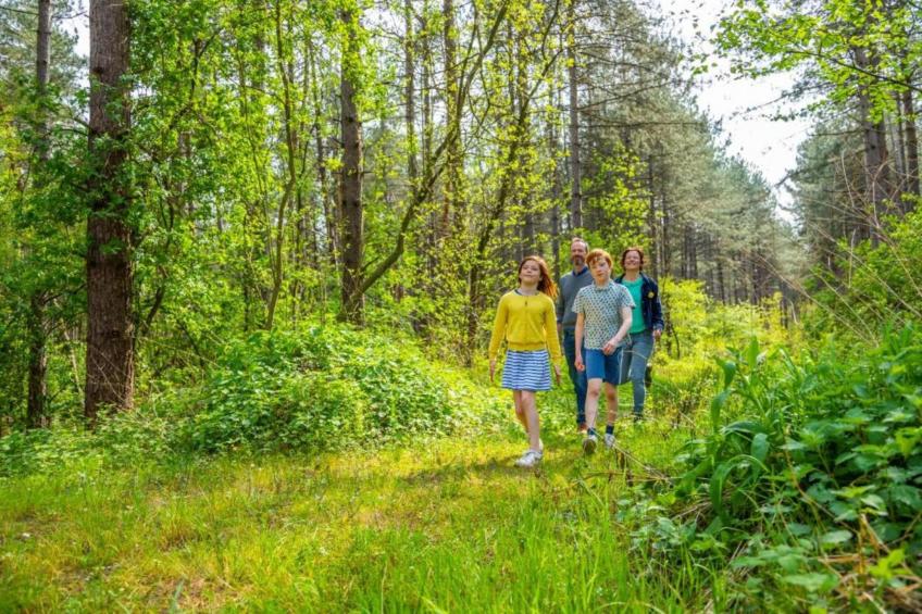 Het Vuchterhof - foto 34