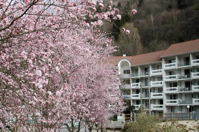 Résidence Les Silènes - foto 3