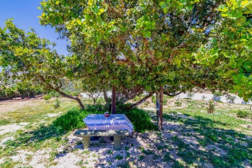 Emanouela Haus mit Garten und Meerblick - foto 22