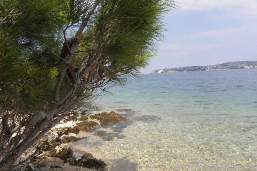 Nettes Appartement in Valica mit Großem Garten - foto 31