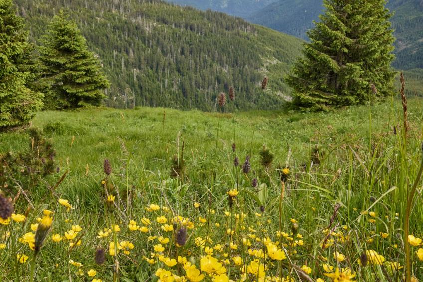 Horní Mísečky - foto 46