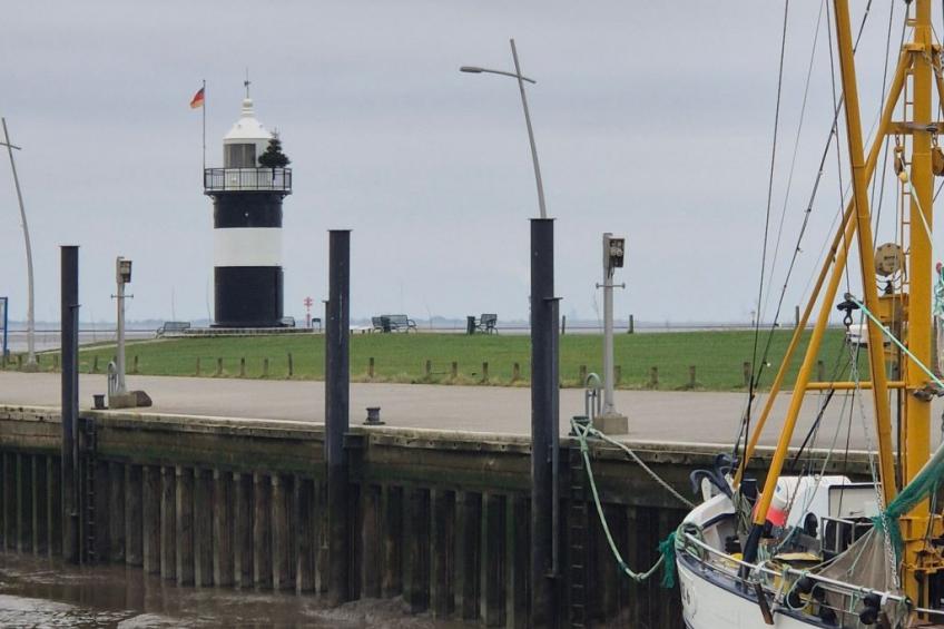 Fewo Kleine Robbe - foto 18