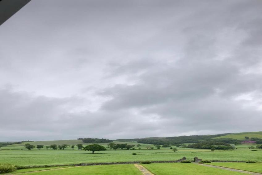 Brodawel - The Cottage - foto 36