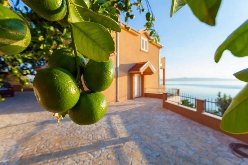 Summerheaven Apartments - Standard Studio Apartment with Balcony and Sea View A1 - foto 8