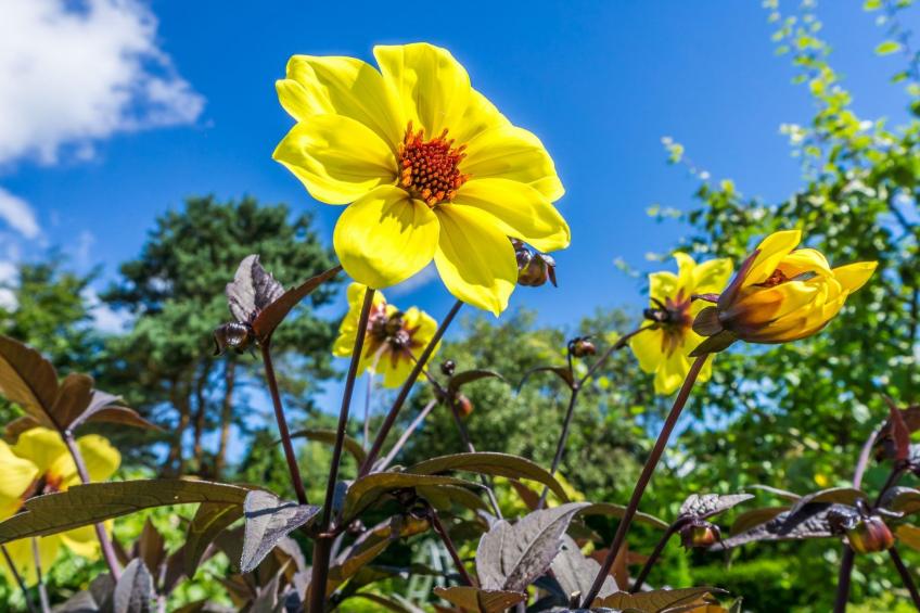 Schönes Ferienhaus in Hastings mit Whirlpool, Terrasse und Garten - foto 45