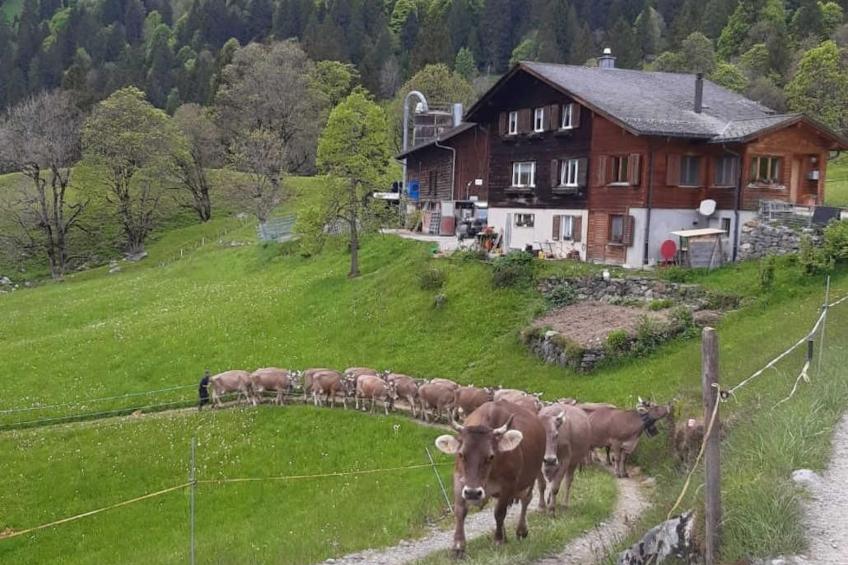 Tschudiberg - foto 14