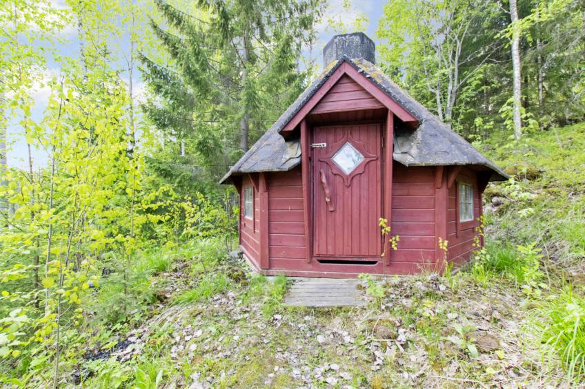 Heinäsorsa - foto 62