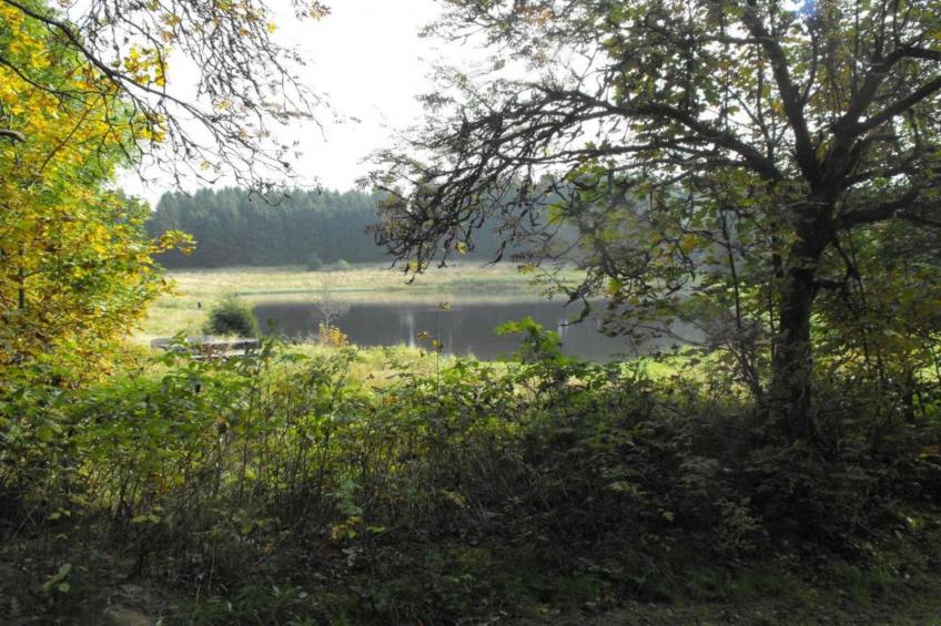 Spiegeltal - foto 15
