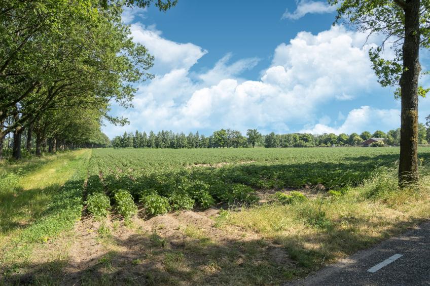 Vakantiewoning de Zwaluw - foto 37