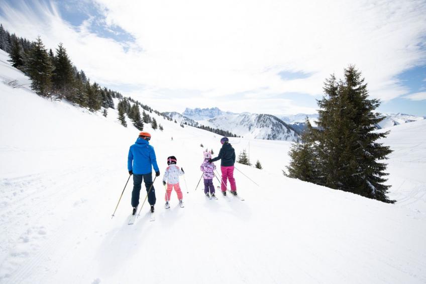 L'Ecrin de Torgon in den Portes du Soleil - foto 20