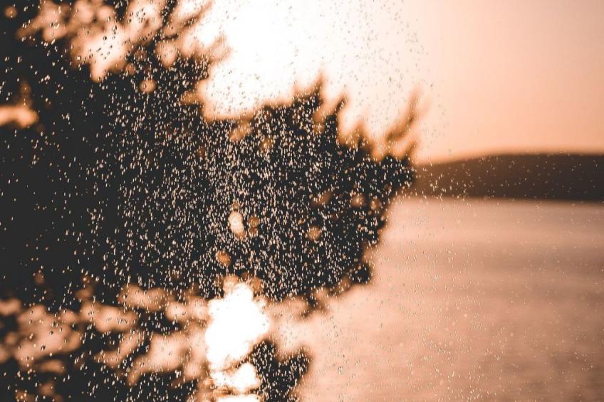 Haus am Meer Šolta - foto 5