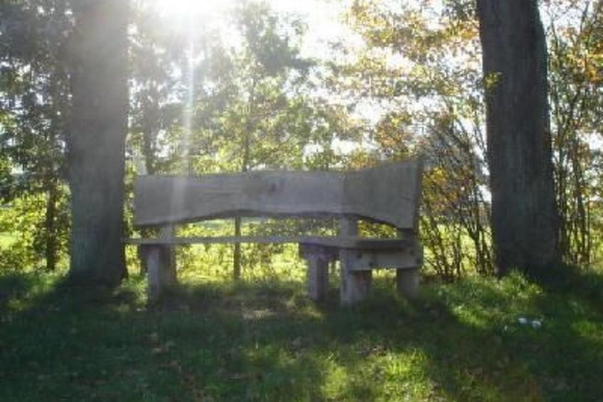 Gemütlicher Ferienhof Loosternest in Vriescheloo - foto 13