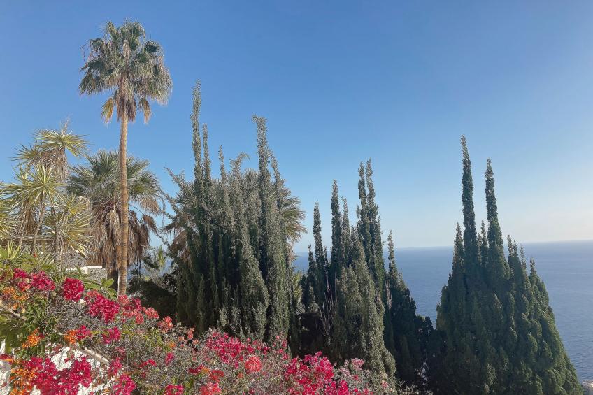 Villa Castillo Moro - foto 29