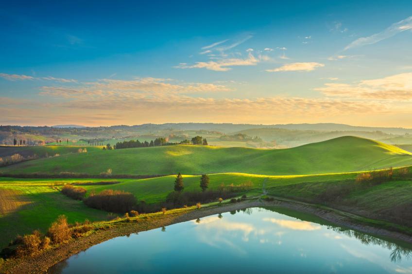 Maramaldo GalloNero, Shared Pool, Chianti - foto 33