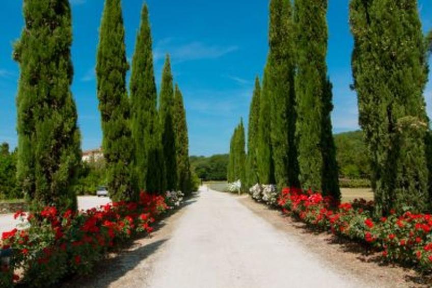 Wohnung 'Cornflower' mit Privatparkplatz - foto 12