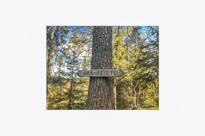 Örtsylä b - foto 22