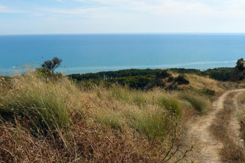 Wohnung 5 - Zwei-Zimmer-Wohnung - foto 32