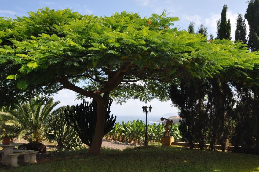 Finca "Hacienda" mit eigenem Schwimmbad - foto 12