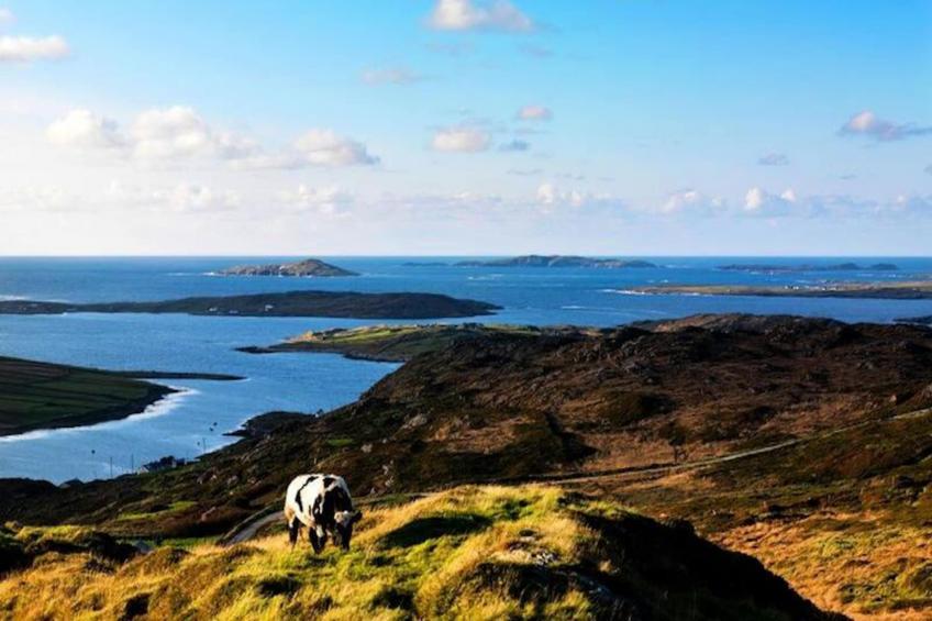 Maison à Cleggan Galway - foto 37