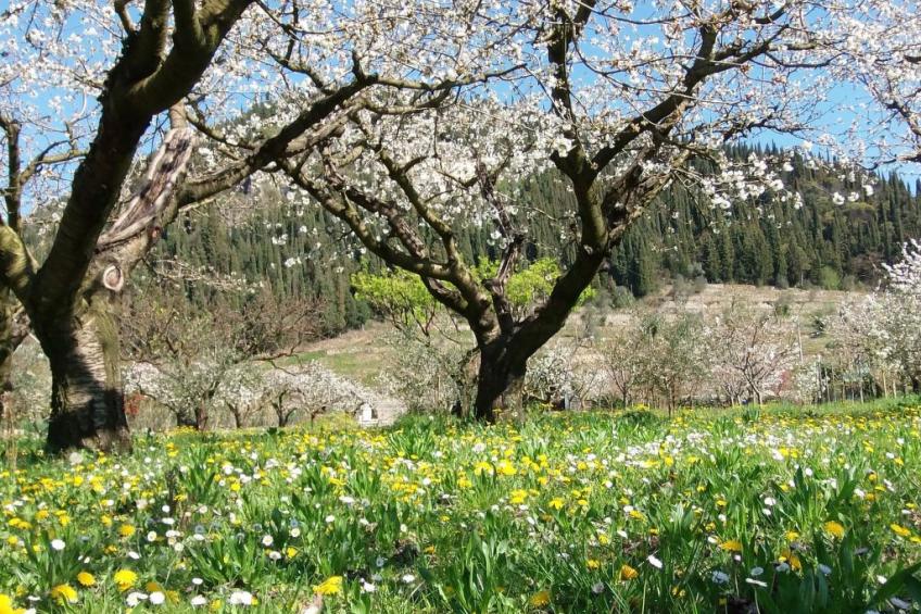 Anwesen mit Garten, Grill und Terrasse - foto 25