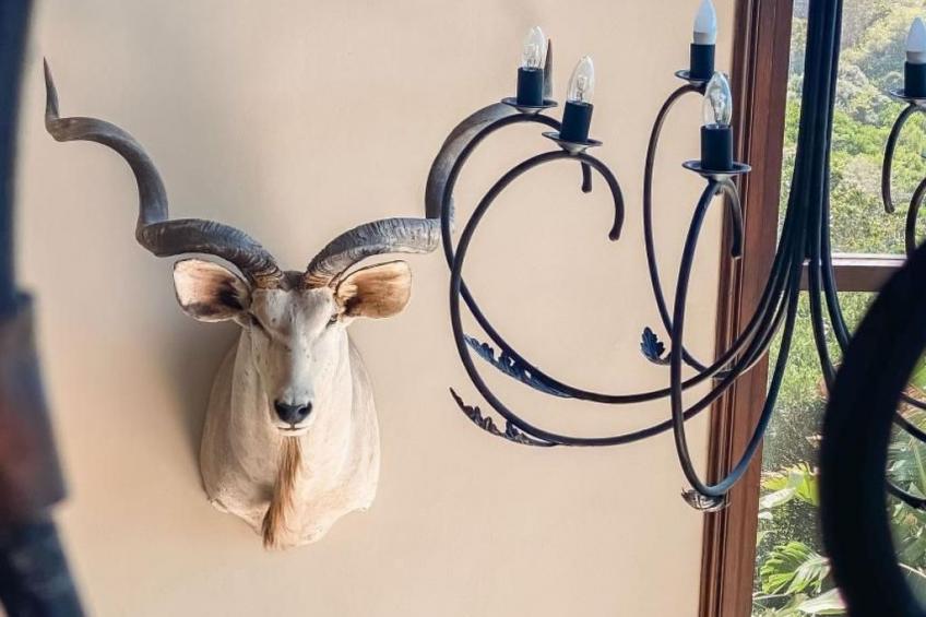 Villa Seaview - The Heads in Knysna (Garden Route) - foto 25