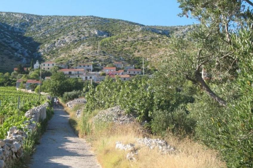 mit Terrasse - foto 25