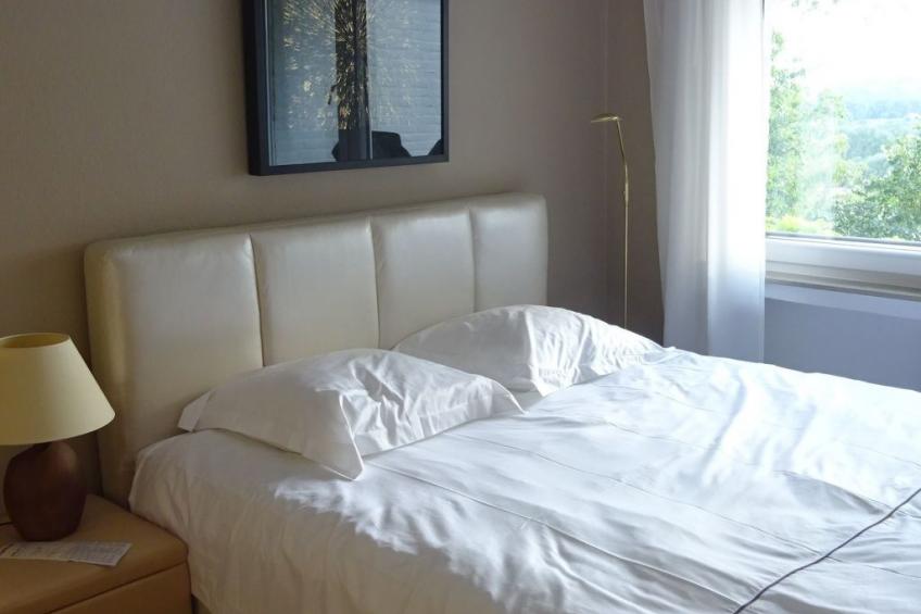 Großzügige Wohnung mit Terrasse und Rheintalblick - foto 9