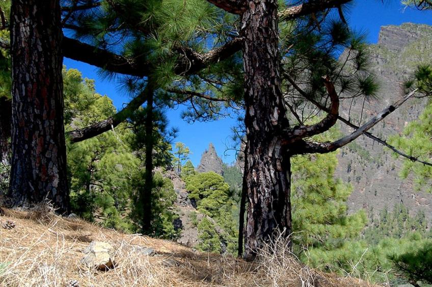 Anspruchsvolle Ferienvilla mit Panoramablick - foto 38