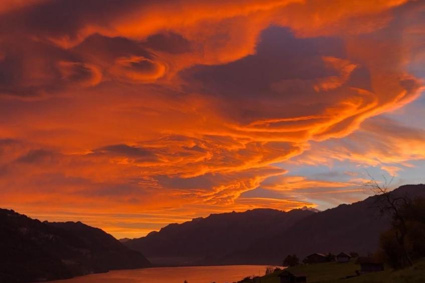 Traumblick Krattigen - foto 7