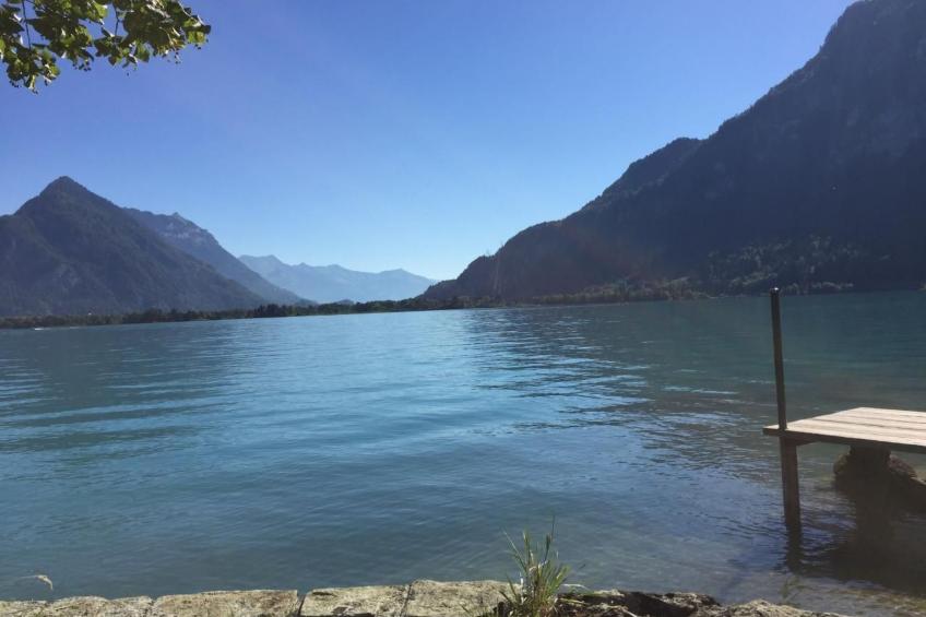 Haus am See - foto 9