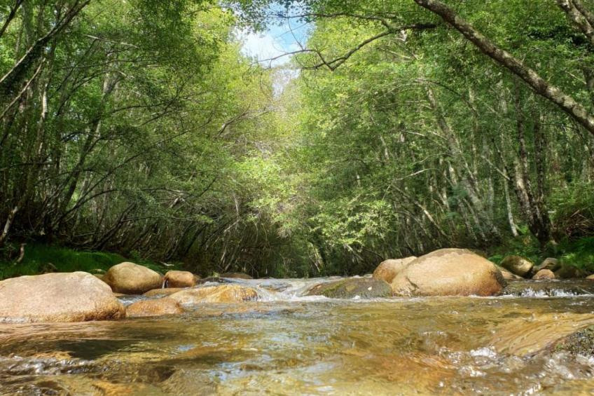 Haus jenseits des Flusses - foto 17