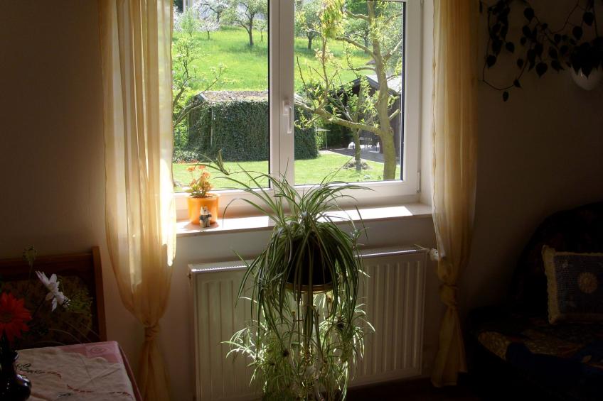 mit Blick zur Wallfahrtskirche - foto 10