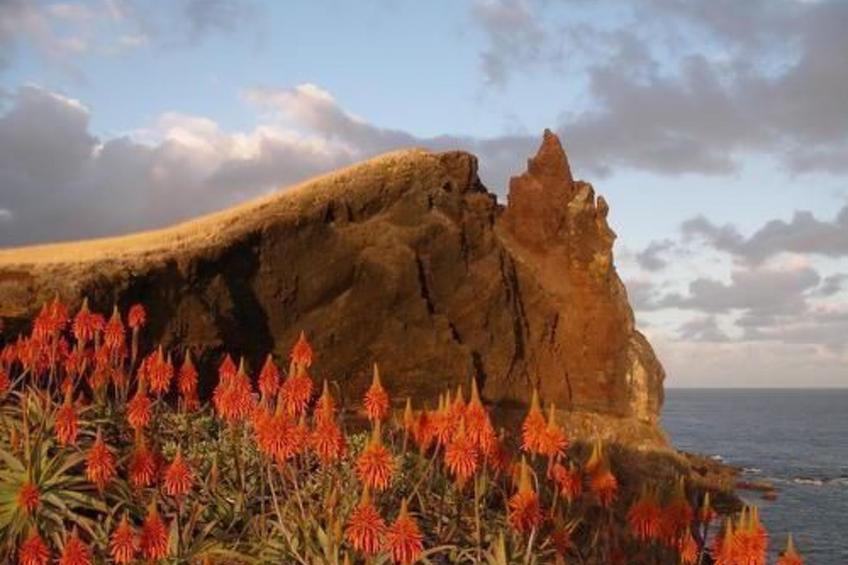 Seaview Refugium 633 - foto 17