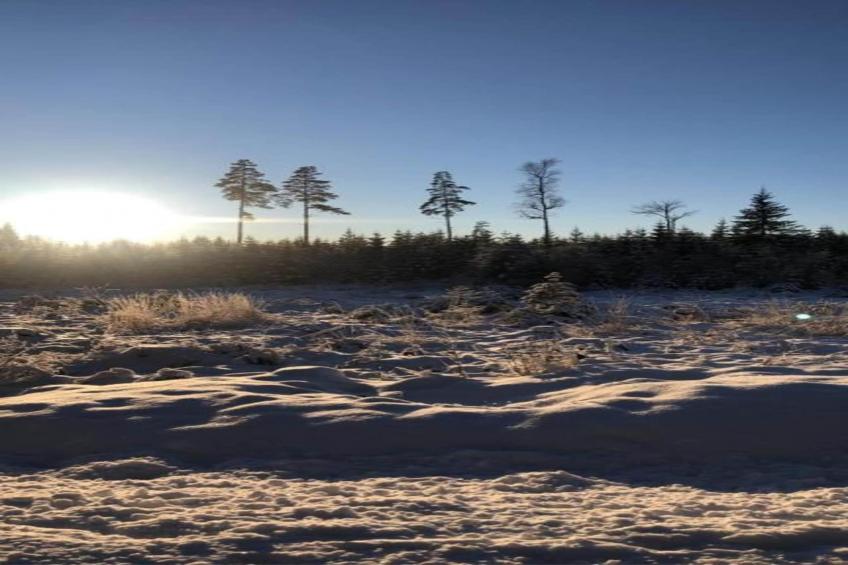 Abbas Stugby 14 - foto 38