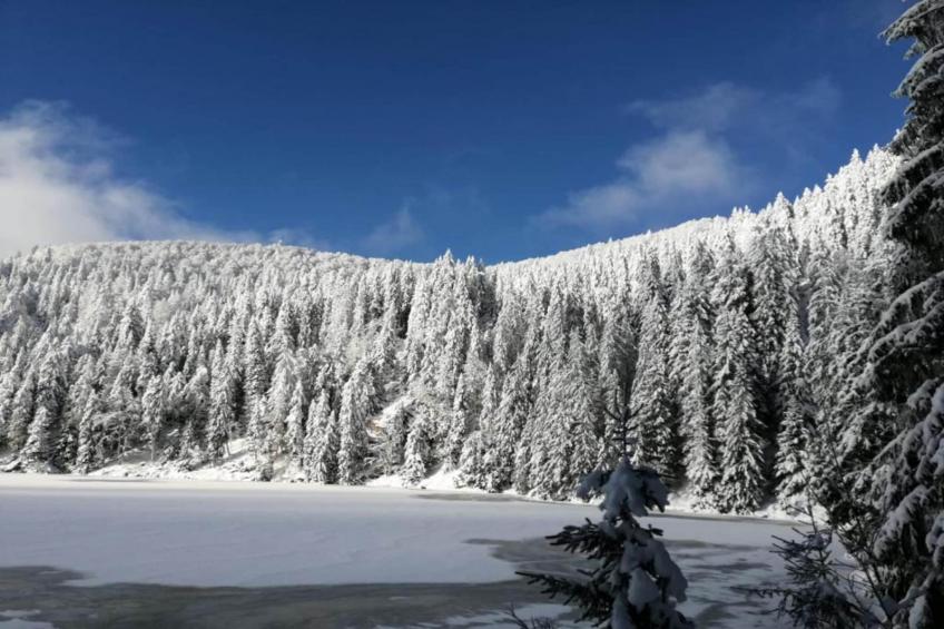 Le Domaine des Rois - foto 33