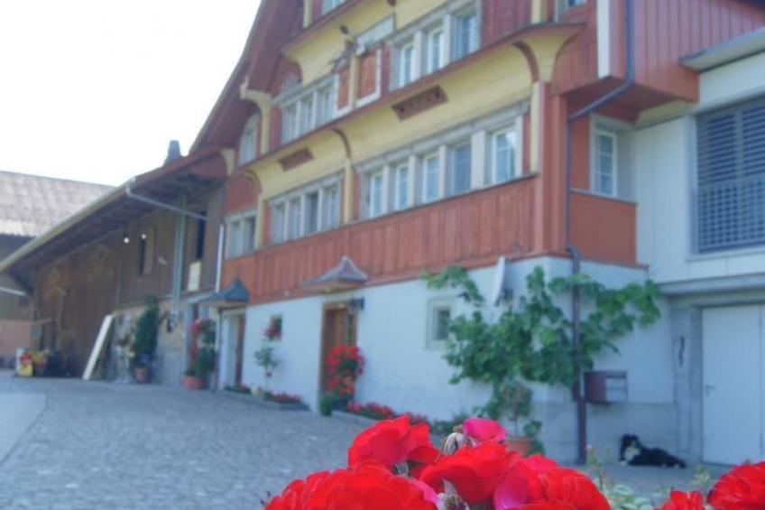 auf dem Bauernhof - foto 2